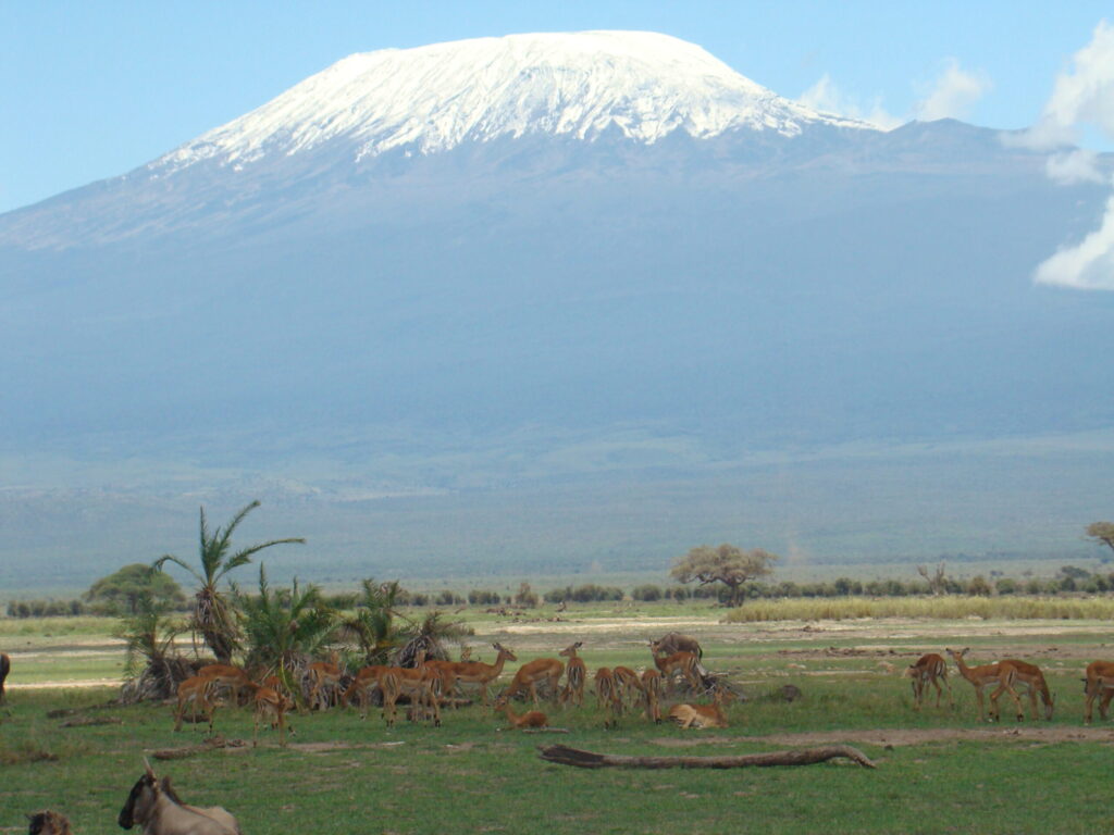 Amboseli-National-Park-Gazelle-against-backdrop-of-Kilimanjaro-scaled