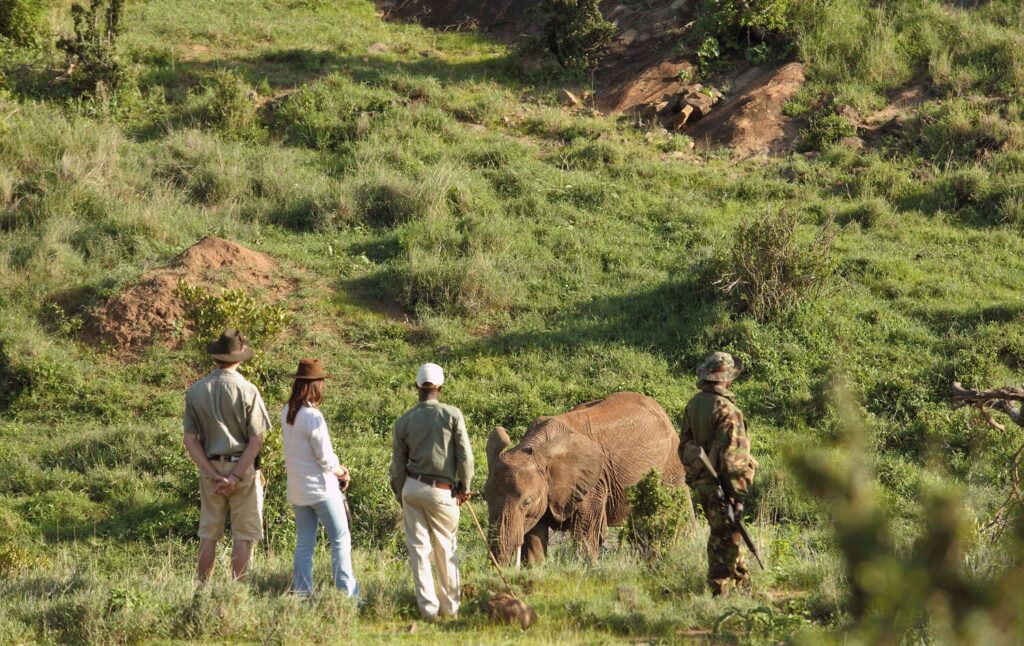 Borana-Conservancy-guided-walking-safari