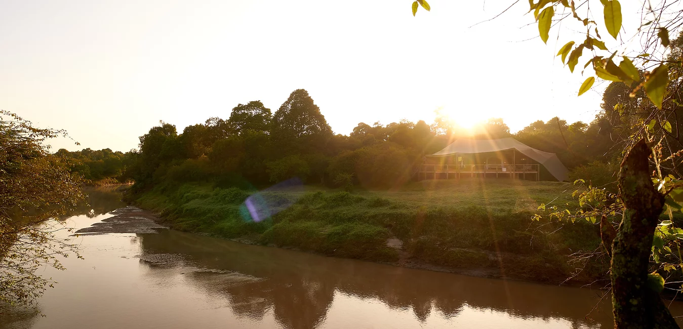 Emboo River Camp Tent View