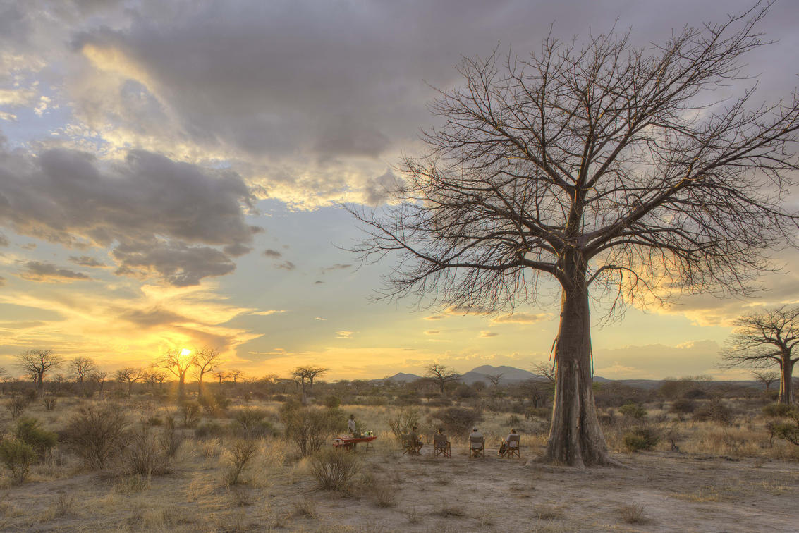 Jabali Ridge Camp sundowner drinks in_baobab_forest