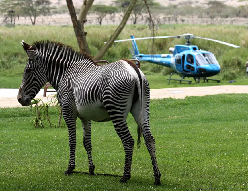 Luxury North of The Equator Lewa Conservancy Sirikoi scenic helicopter ride