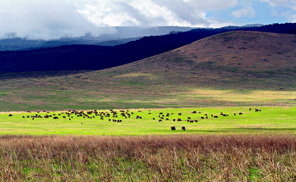 The Ngorongoro Conservation Area - Treasures Adventure House