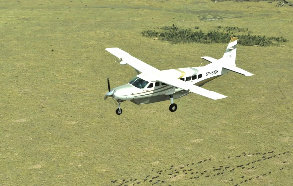 Scenic Air Safaris Mara migration