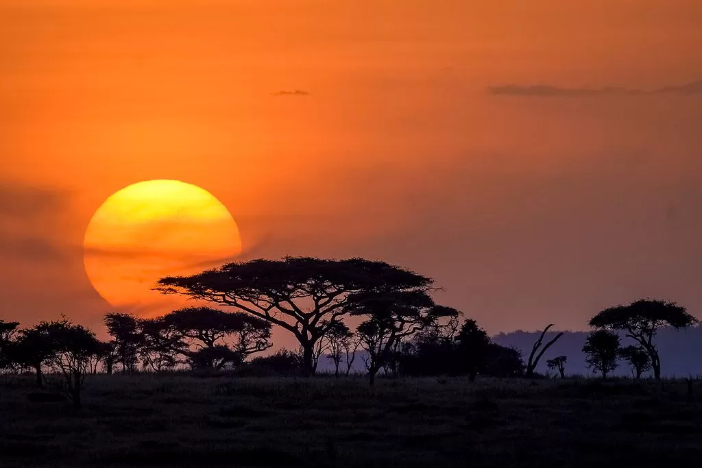 Serengeti-National-Park-sunset