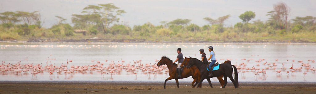 Soysambu-Conservancy-lakeshore-horseriding